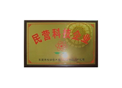 民營(yíng)科技企業(yè)